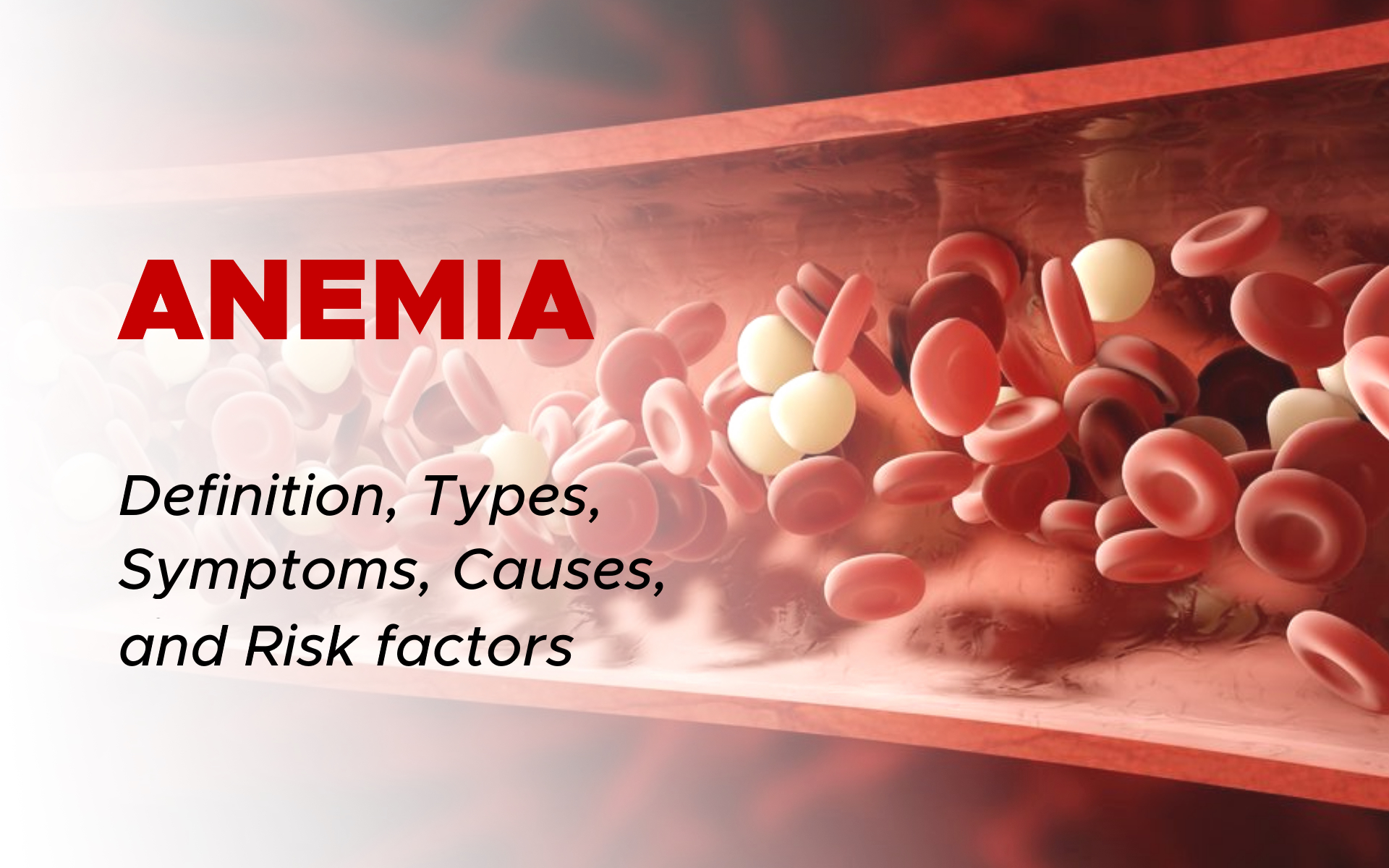 Anemia Overview: Definition, Symptoms, Causes, Types, and Risk factors