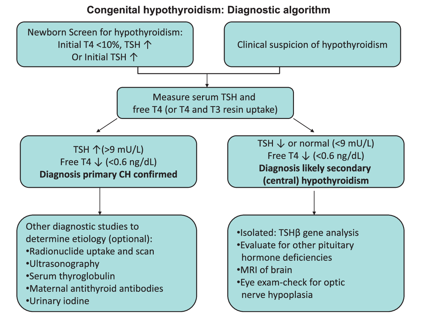 Congenital hypothyroidism: Diagnostic algorithm