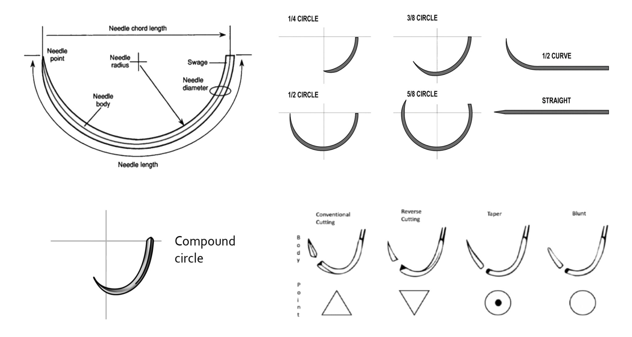 Suture Materials Suture Size, Absorption Time, Suture Needles and